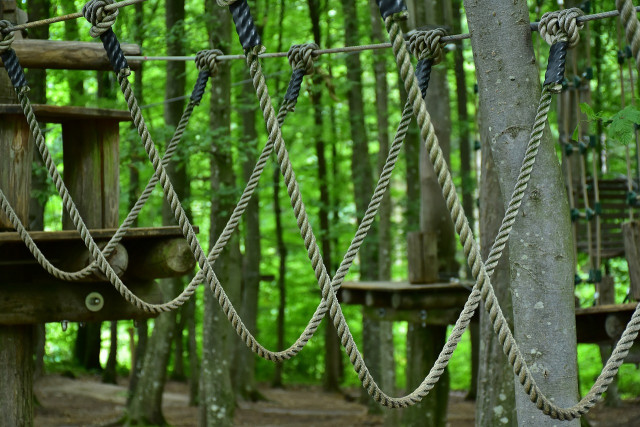 Adventure park