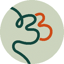 Actions et projets