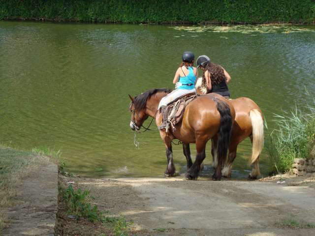 Equestrian centers