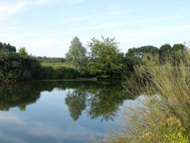 Discovery around the river Seille