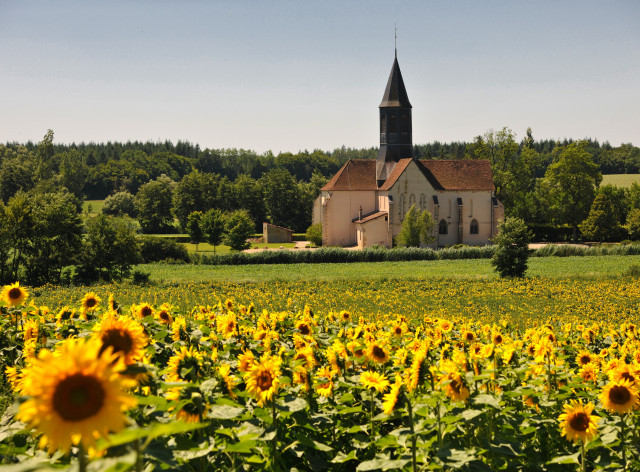 Eglises, Abbaye