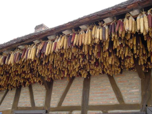 Histoire de la Bresse Bourguignonne