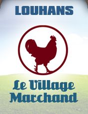 Bienvenue à Louhans