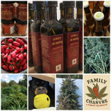 78f0ecb5-f1fa-4656-a8e3-b532b858816e 78f0ecb5-f1fa-4656-a8e3-b532b858816e