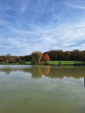 Etang Domaine des Druides