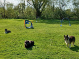 IMG-20220410-WA0004