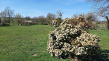 Le Gardin de Meix Gagnard en mars