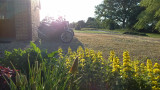 Motos couchez soleil