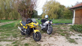 Motos en gardin