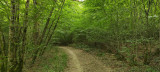 CHIEN DE TRAINEAUX CANI RANDO CANI MARCHE NORDIKROAD EN BRESSE BOURGOGNE