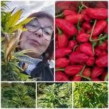 cea99e7d-2ec0-4d04-8cd5-55ff8724114f