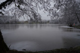 Etang en janvier