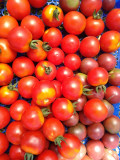 tomates cerises en cagette - debut 072023