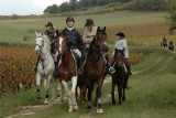 Promenade vignes © Poney club Saint Christophe en Bresse