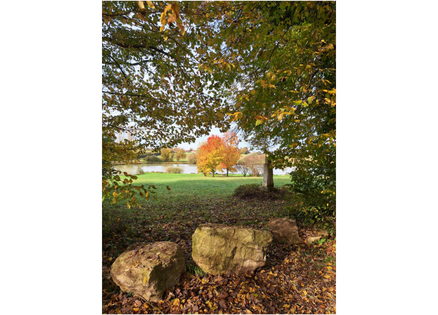 Domaine des Druides 1