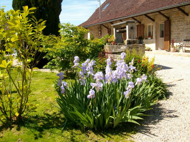 La maison de Luna Sagy © Henny