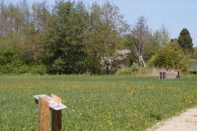 Balades Vertes - Sentier des Mares - Office de Tourisme du Pays de la Bresse Bourguignonne