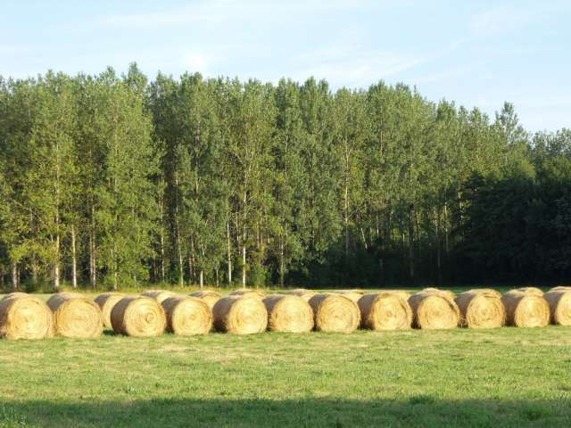 Bottes de paille - Office de Tourisme du Pays de la Bresse Bourguignonne