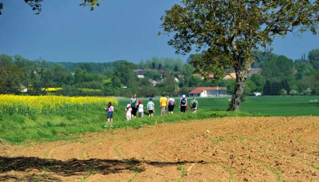 Chemin de randonnées - Amédée De Almeida