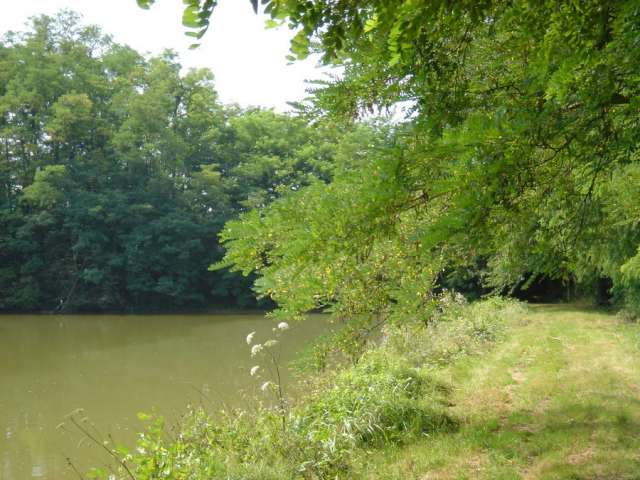 Etang de Bresse - Office de Tourisme du Pays de la Bresse Bourguignonne