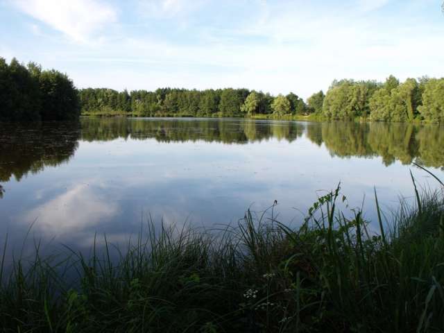 Etang Fouget La Truchère-Ratenelle - Office de Tourisme du Pays de la Bresse Bourguignonne