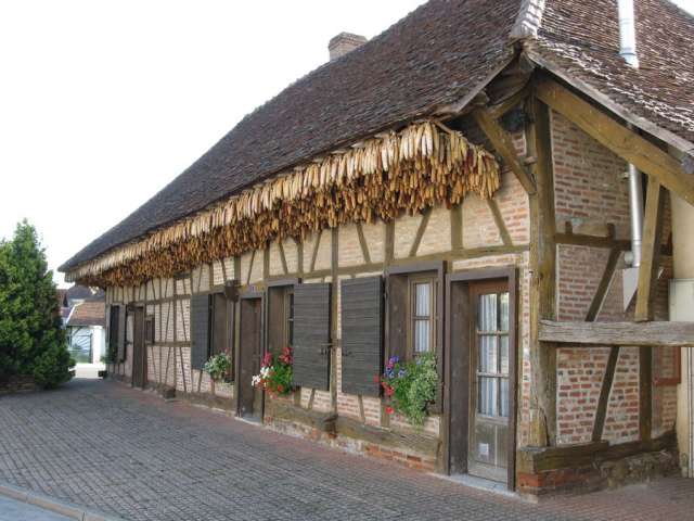 Ferme Bachelet - Saint Germain du Bois