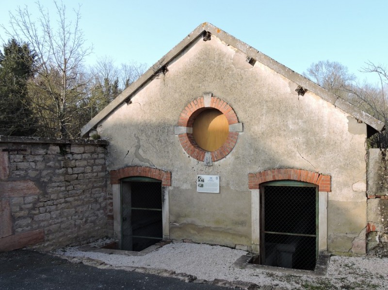 14-1-cuisery-lavoir-echeneaux-a-guillemaut-194211