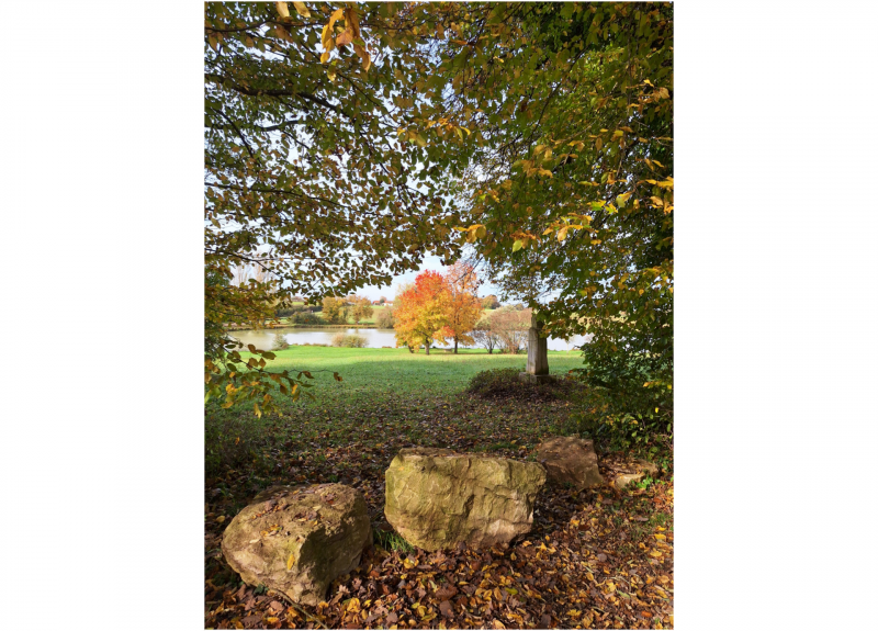 Domaine des Druides 1