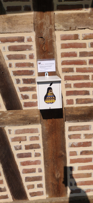 Ruche d'abeille rousse 2