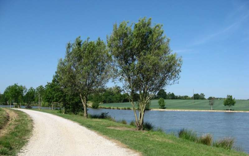 Balades Vertes - Etang Crèpaud - Saint Usuge