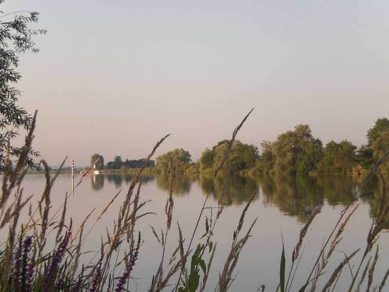 Bords de Saône - Ouroux sur Saône