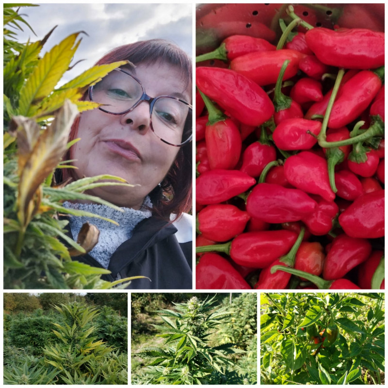 cea99e7d-2ec0-4d04-8cd5-55ff8724114f cea99e7d-2ec0-4d04-8cd5-55ff8724114f