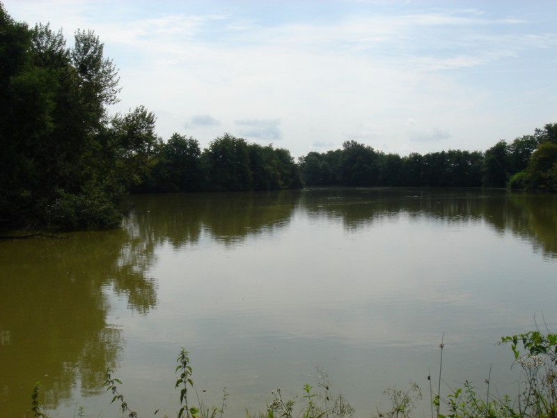 etang-de-bresse-otsi-181170