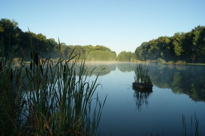 etang-de-la-galette-bruailles-209128