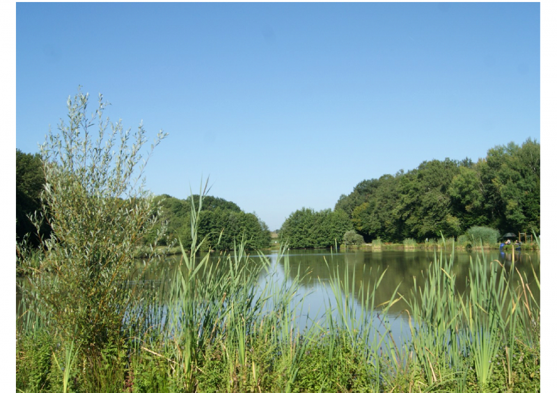 Etang de la Galette - Bruailles