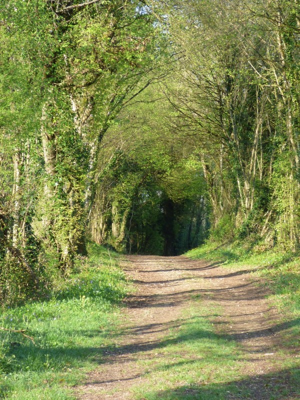 sentier-balades-cuiseaux-179873