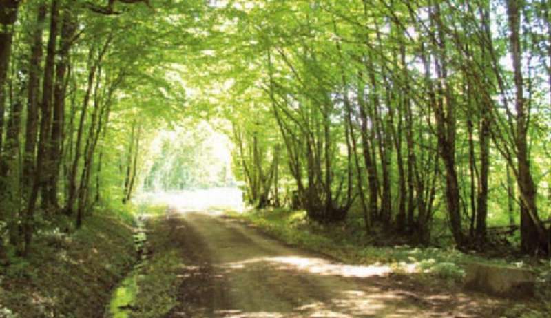 Sentier des Grands Bois - Ville de Louhans-Châteaurenaud