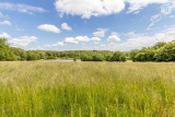 la Cabane de l'Etang