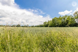 La Ferme de la Terve