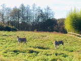 Espace Harmonie