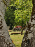 Domaine du Venet Domaine du Venet