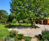 l'Iris des Marais