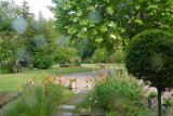 l'Iris des Marais