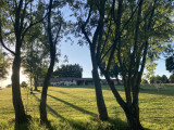 le Benouchon le Benouchon