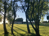 le Benouchon