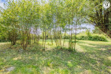 la Ferme du Theu