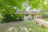 Octopussy Octopussy