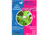 BA - Les escargots d'amandine