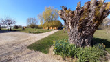 Chambres d'Hotes Meix Gagnard Printemps