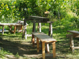Bancs